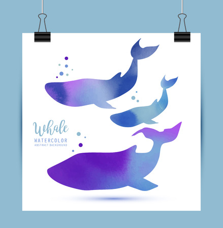 Watercolor Illustration Whales Family. Vector, isolated on white.のイラスト素材