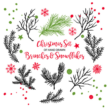 Hand drawn fir, pine cedar, coniferous branches. Christmas holiday winter plants for decoration. Vector isolated xmas design elements.のイラスト素材