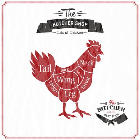 Cut of meat set. Poster Butcher diagram and scheme - Chicken.のイラスト素材