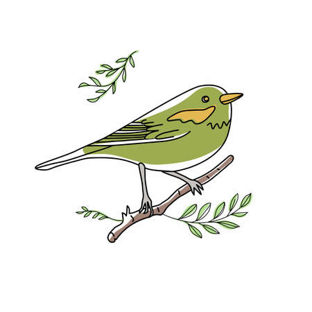 Bird illustration. Collection of cute hand drawn bird doodles. Line style in minimalism on white vector pictureのイラスト素材