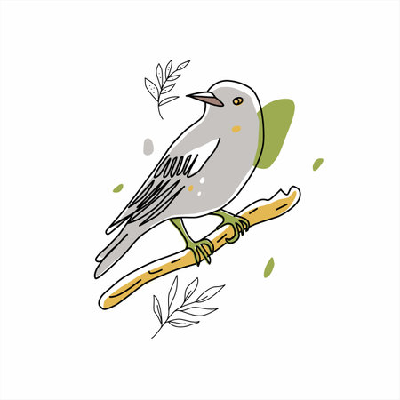 Bird illustration. Collection of cute hand drawn bird doodles. Line style in minimalism on white vector pictureのイラスト素材