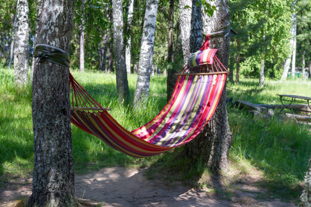 A red, crimson hammock is stretched between trees in a park or forest for relaxationの写真素材