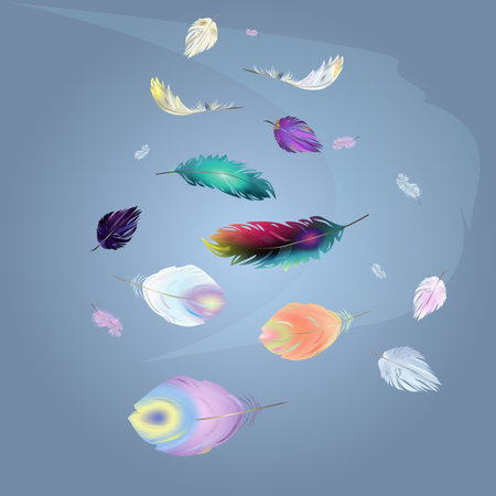 Feathers isolated backgroundのイラスト素材