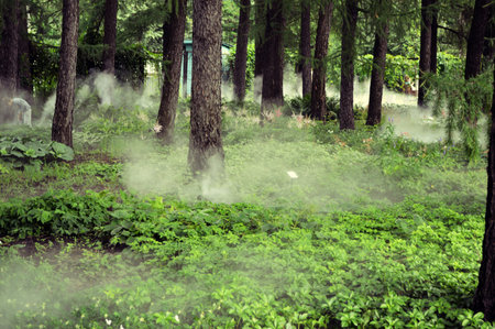 artificial fog in Sokolniki Park