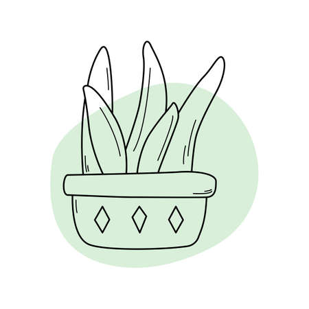 Hand drawn house flower in pot with rhombuses doodle style, vector illustration isolated on white background. cute black outline decorative design elementのイラスト素材