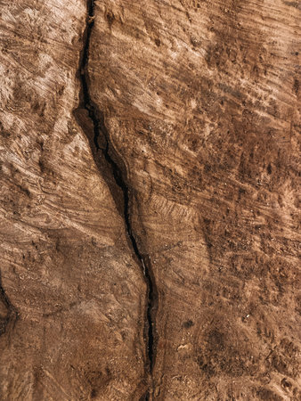 Brown wood texture with black crack, vertical photo. Decorative element for background design, natural ornament, organic surface. Abstract texture backgroundの写真素材