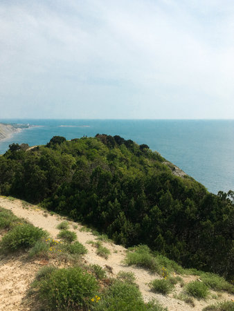 Winding dirt trail leading along steep, verdant hillside covered with dense green trees and shrubs, offering expansive views of calm ocean and distant coastline under soft blue skyの写真素材