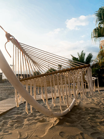 Empty hammock hanging on tropical beach, offering a peaceful place for rest and summer vacation under bright sky with palm trees in background. Beauty of nature and happy holidayの写真素材