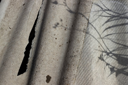 Old slate texture with shadows of plants and flowers, horizontal photo. Decorative background for...