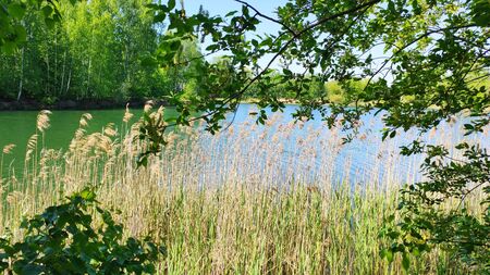 Quiet village lake surrounded by beautiful nature, Nizhny Novgorod region, Russiaの写真素材