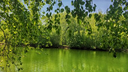 Quiet village lake surrounded by beautiful nature, Nizhny Novgorod region, Russiaの写真素材