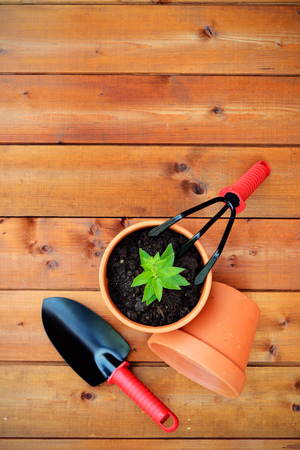 Gardening tools and objects on old wooden backgroundの写真素材