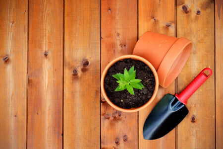 Gardening tools and objects on old wooden backgroundの写真素材