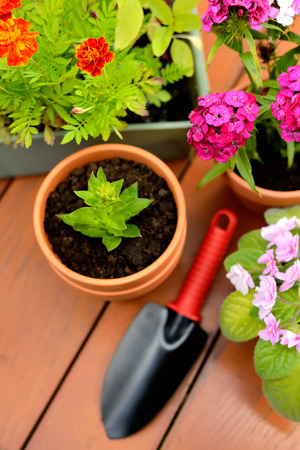 Flower pots and shovel pot in green gardenの写真素材
