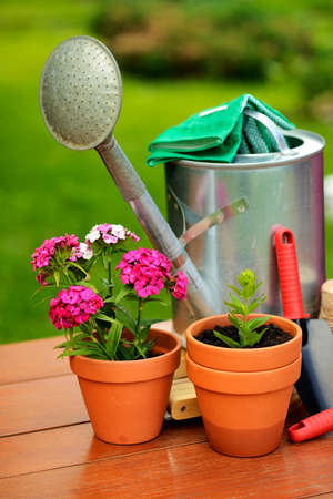 Gardening tools on wooden table and green の写真素材