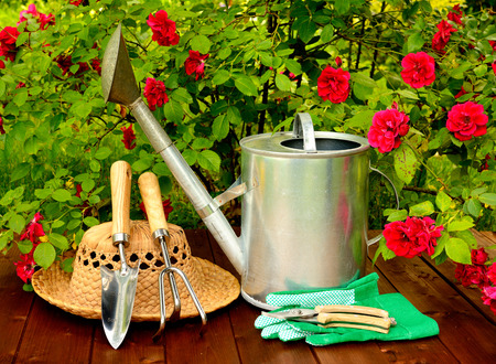 Gardening tools on wooden table and rose flowers backgroundの写真素材