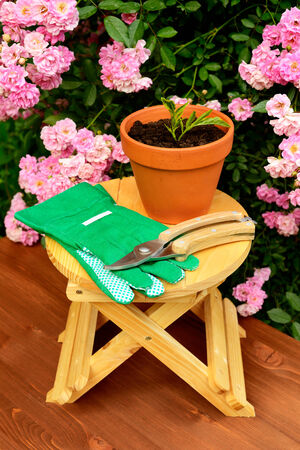 Gardening tools on wooden table and rose flowers backgroundの写真素材