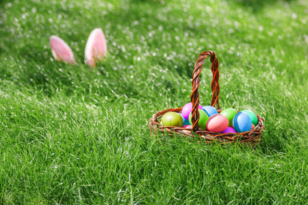 bunny ears on green grass and easter eggs in basket.