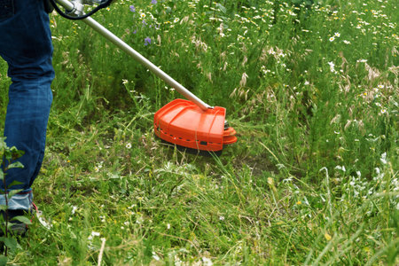 Worker mows the grass with a gasoline string trimmer.