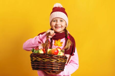 Cute little girl in a scarf and hat on a yellow background. A child holds a basket of apples. Harvest and autumn concept.の写真素材