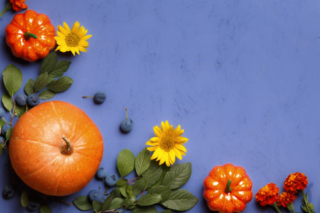 Top view of pumpkins, branches of berries, flowers on a purple background. Thanksgiving Halloween...