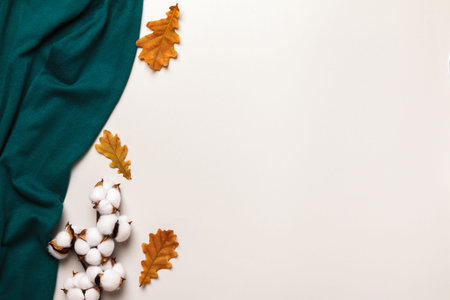 Autumn composition. Green sweater, oak leaves and a branch of cotton on a light gray background. Flat lay, top view, copy spaceの写真素材