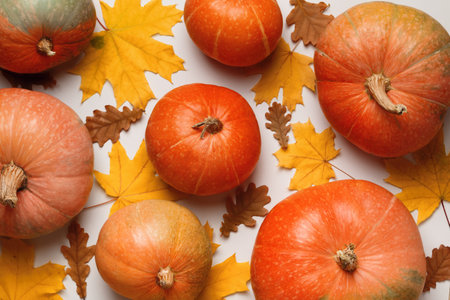 Many colorful pumpkins and autumn maple and oak leaves on a white background. Thanksgiving halloween concept. Top view flat lay.の写真素材
