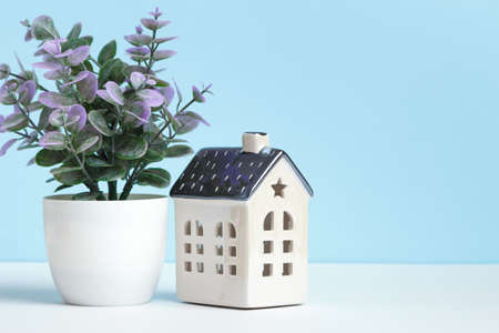 Small ceramic house plant in a pot on a white table on a blue background. home decoration.の写真素材