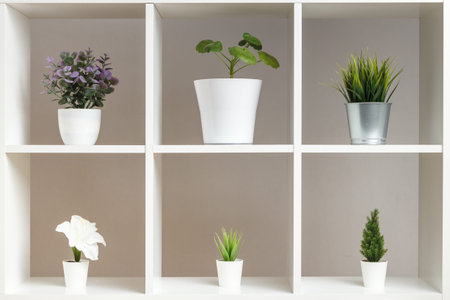 White shelves with potted plants. Home interior decor elements.の写真素材