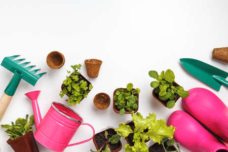 Garden tools plant seedlings on a white table. spring planting concept. Top view flat layの写真素材