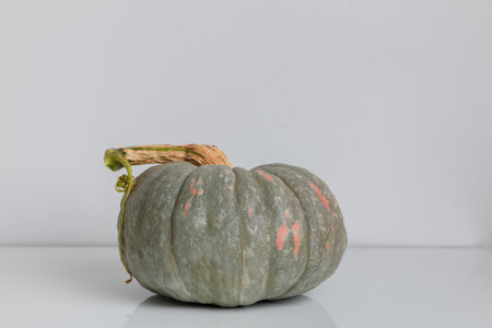 Autumn minimalist composition. One pumpkin fruit on a white table. Thanksgiving and Halloween celebration concept.の写真素材