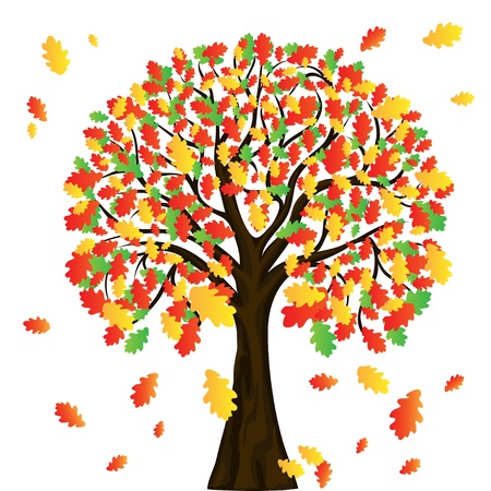 autumn tree for your designのイラスト素材