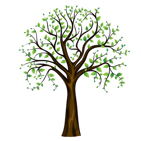 Spring tree on the white background, vector imageのイラスト素材
