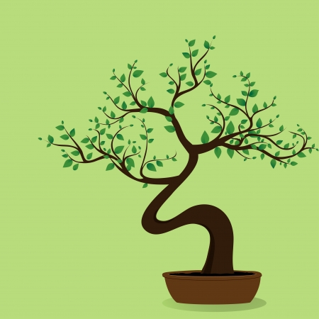 Bonsai tree on the green backgroundのイラスト素材