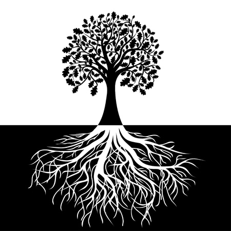Tree with Roots on Black and white Backgroundのイラスト素材