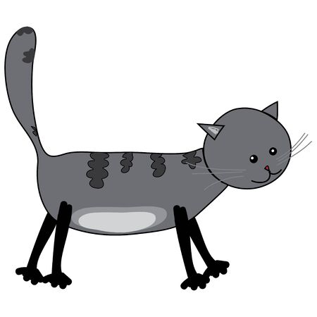  Young kitten in front of white backgroundのイラスト素材