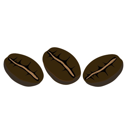 three coffee beans on white backgroundのイラスト素材