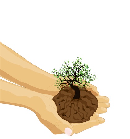 Tree in palm of hand のイラスト素材