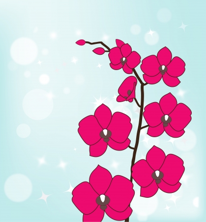 branch pink orchid card for the holidayのイラスト素材