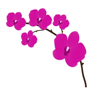 Branch orchid flower vector background for designのイラスト素材