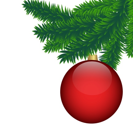 fir branchesのイラスト素材
