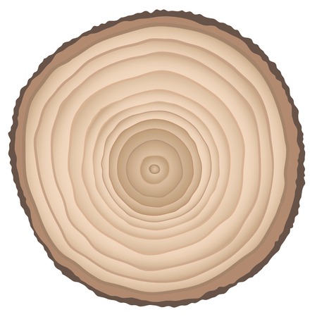 ?ut of a tree isolated on white vector.のイラスト素材