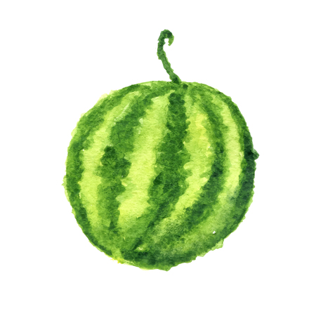 watercolor watermelon, isolated on white background, vector illustrationのイラスト素材