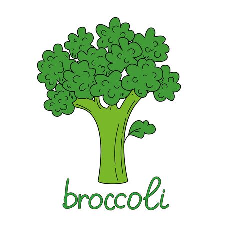 Juicy green broccoli isolated on a white background. Vectorのイラスト素材