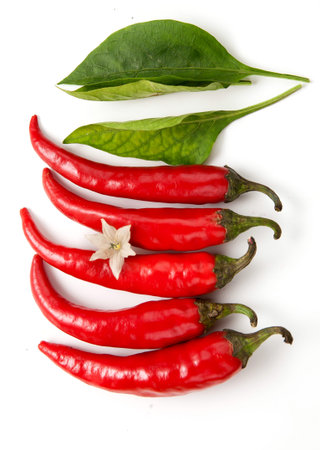 hot red chili peppers arranged in a row on a white background, pepper flower, top view