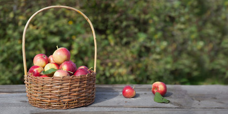 apples in a wicker basket on a wooden table