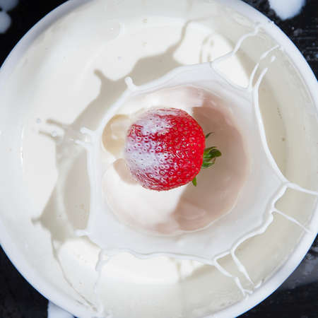 Fresh red strawberry falling into milk with a splashの写真素材