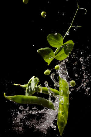 Green peas are moving in drops of water on a dark backgroundの写真素材
