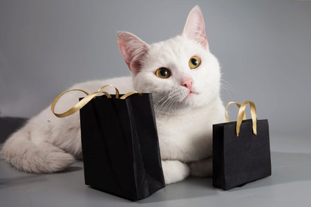 White cat sits with black bags with black friday sale