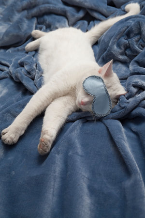 Beautiful white cat sleeps in a mask on a plush blanketの写真素材